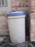 Kitchen compost bin