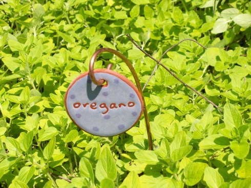Oregano