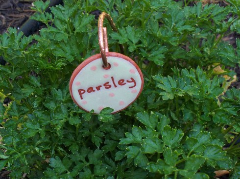 Parsley