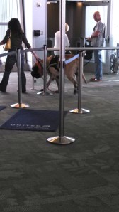 Flight:  Indy to Baltimore