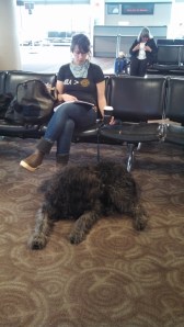 Flight:  Phoenix to Denver