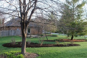 South lawn south view