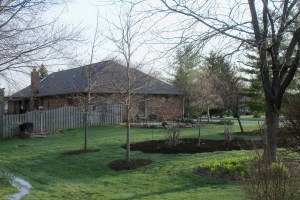 South lawn southwest view
