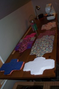 DfGI_liners_2nd_shipment