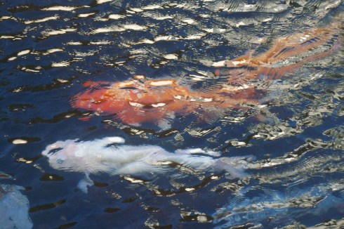 Look below the surface