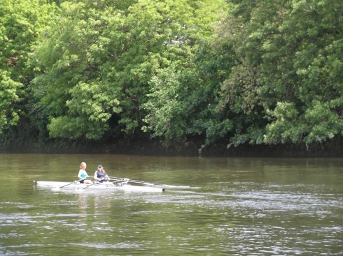 Row, row, row your boat