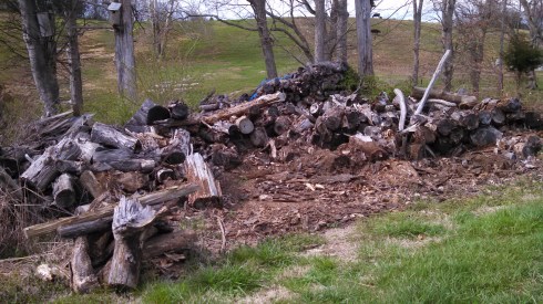 Firewood_use it or lose it