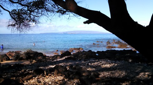 Ulua Beach Maui