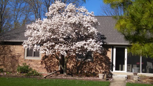 Star shadow zoom out