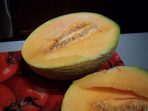 Ripe cantaloupe....best of the season