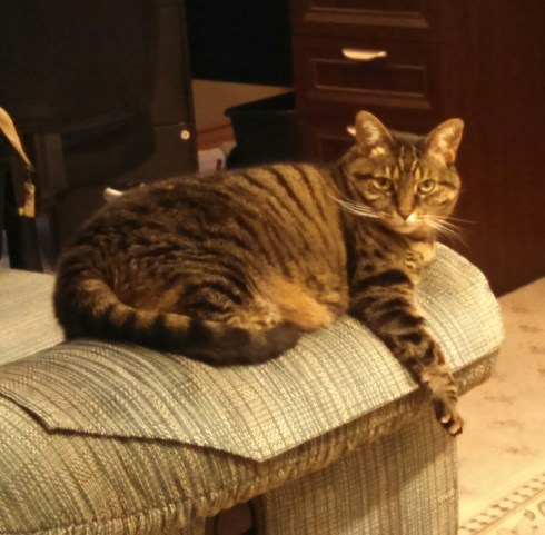 Office assistant Eve: "Don't you have something better to do?"