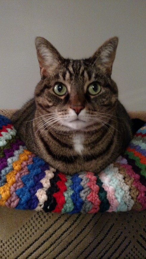 Wordpress has helper monkeys. Elfcroft has Eve the office assistant. Let's review the annual report!