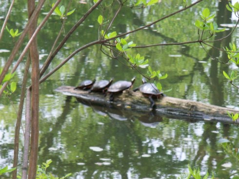 Great idea! I'm behind you.