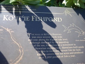 Ko'ie'ie Fish Pond