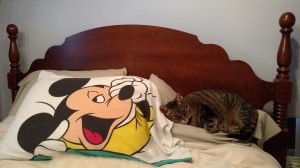 Are you done yet? Yawn.