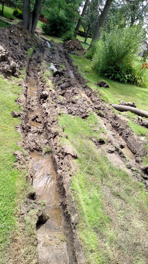 IMG_20160714_131859140 copy