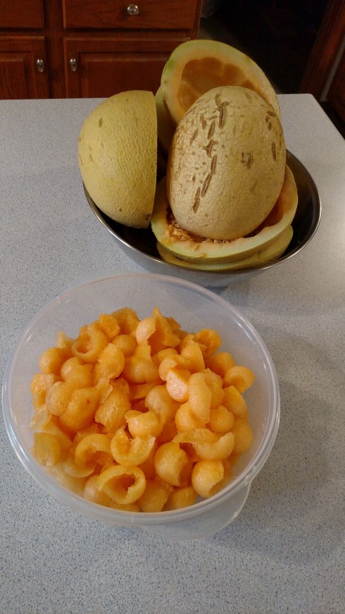 "Sugar Kiss", Sand Stone Melon Co. Inc.