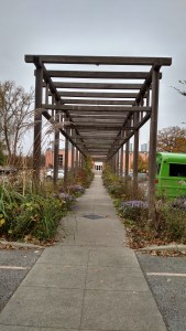 Great way to add interest to parking lot with flowers, herbs, vegetables