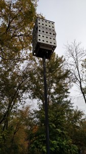 artcenter7_img_20161031_100745422-copy