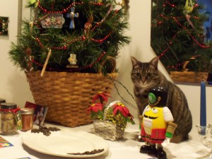 "Eve" was a Christmas present to us Christmas "Eve" of 2006.