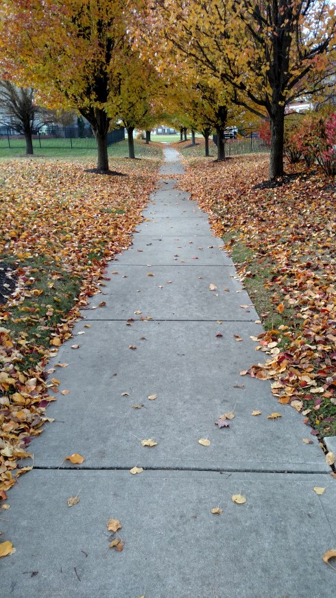 suburban_img_20161130_161526291-copy