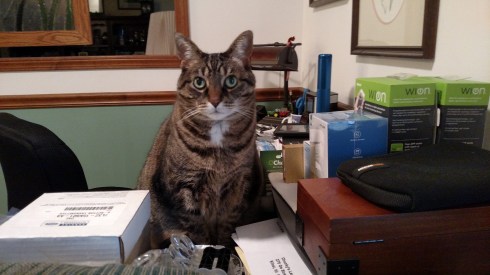 Office assistant "Eve" approves