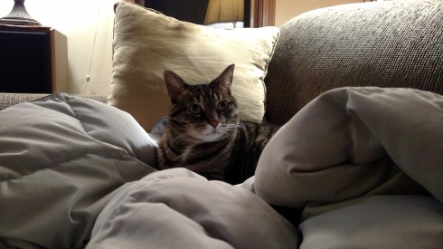 Time to turn out the lights.