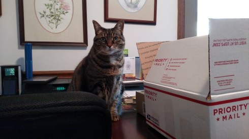 eve_priority_img_20170106_085617770-copy